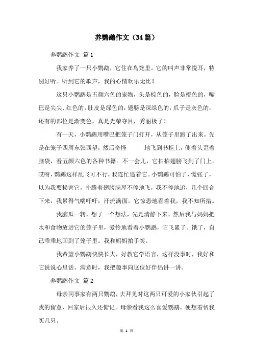 养鹦鹉作文(34篇)