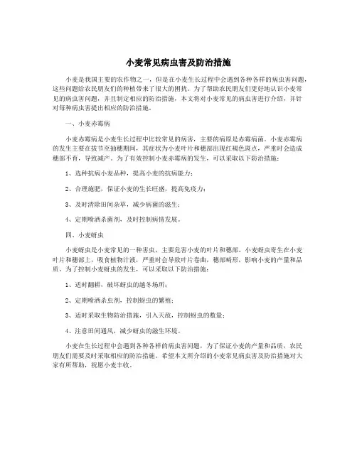 小麦常见病虫害及防治措施