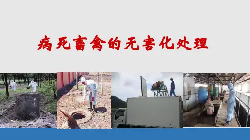 病死畜禽的无害化处理 ppt课件
