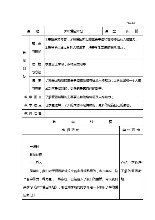 《少年爱因斯坦》教案