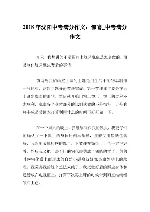 2018年沈阳中考满分作文：惊喜_中考满分作文