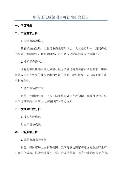 中高压化成箔项目可行性研究报告