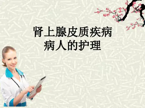 肾上腺皮质疾病病人的护理ppt课件