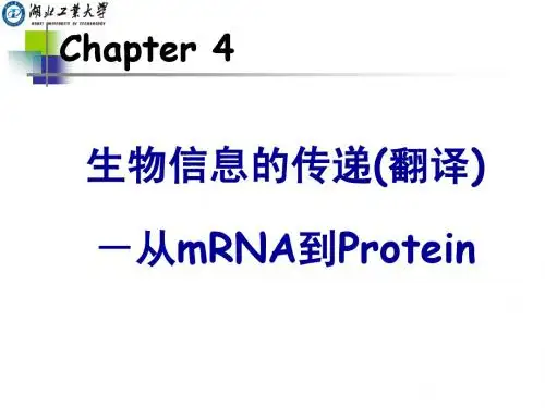 CHAPTER 4 翻译