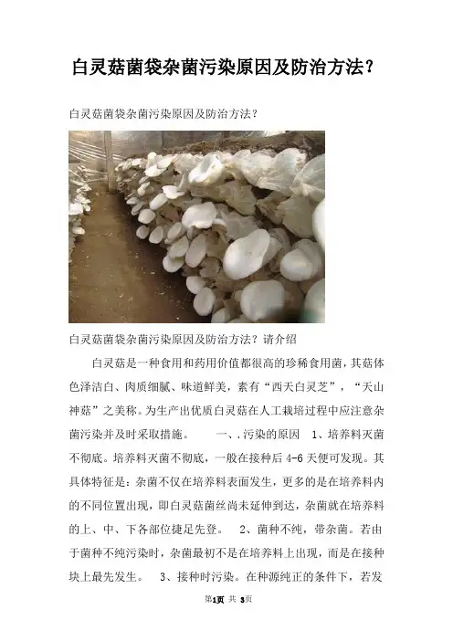 白灵菇菌袋杂菌污染原因及防治方法？