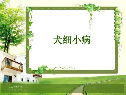 犬细小病介绍