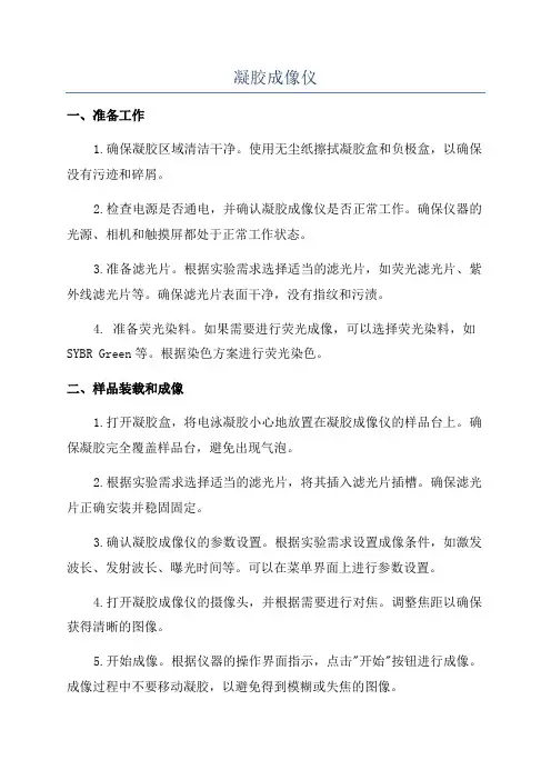 凝胶成像仪