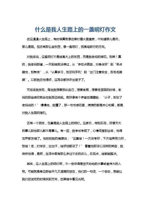 什么是我人生路上的一盏明灯作文