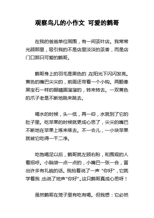 观察鸟儿的小作文可爱的鹩哥