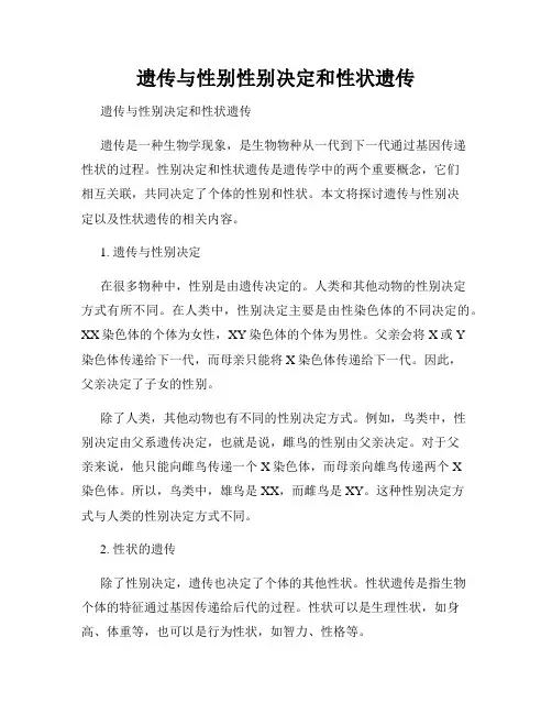 遗传与性别性别决定和性状遗传