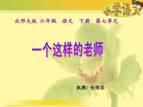 《一个这样的老师》课件