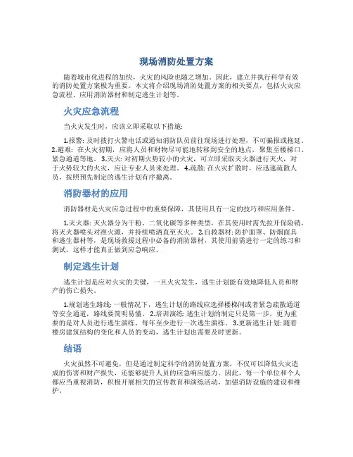 现场消防处置方案