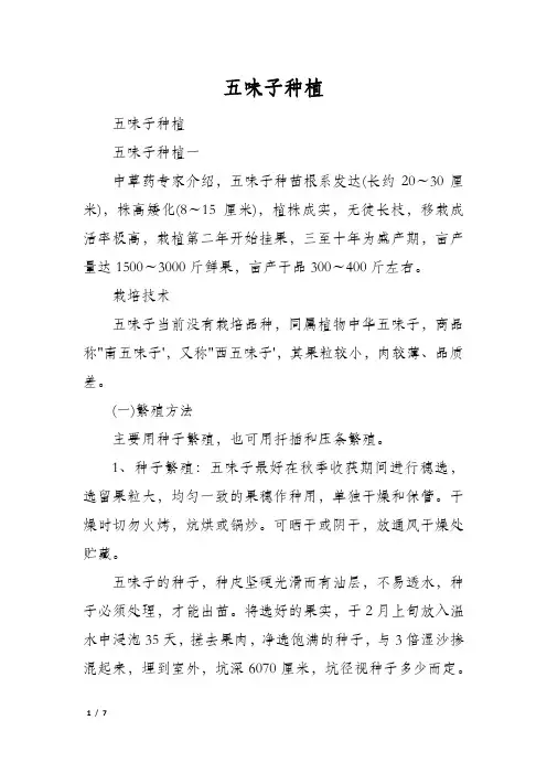 五味子种植