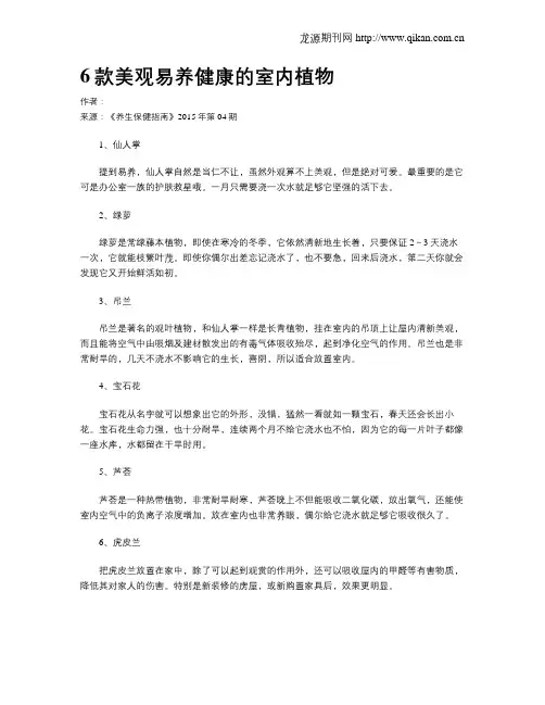 6款美观易养健康的室内植物