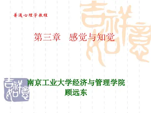 第三章  感觉与知觉 普通心理学 教学课件