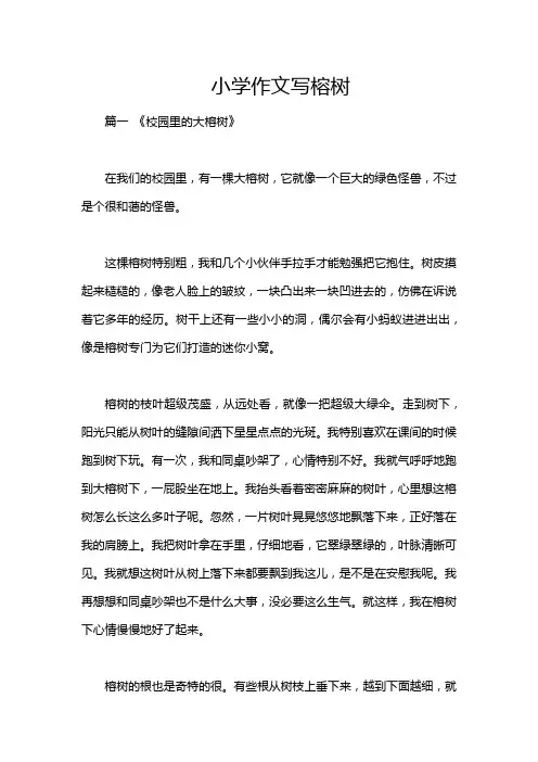 小学作文写榕树
