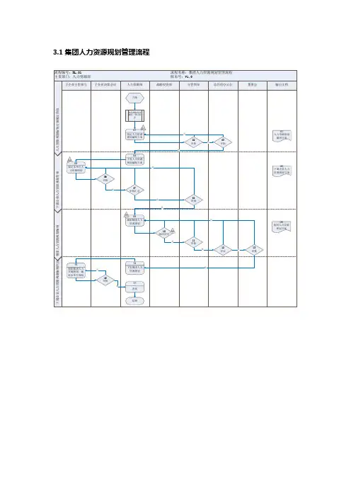集团人力资源规划流程(经典案例)