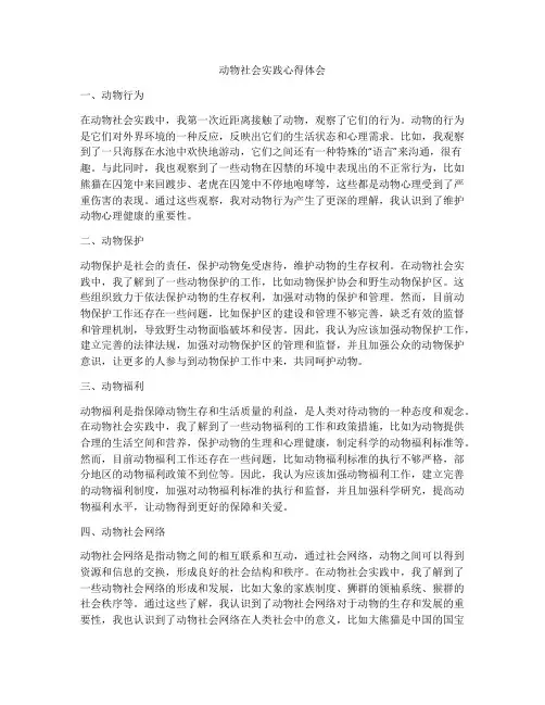 动物社会实践心得体会