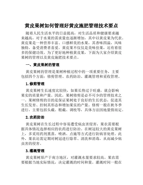 黄皮结果树如何管理好黄皮施肥管理技术要点