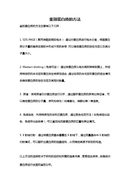 鉴别蛋白质的方法