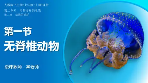 2.2.1无脊椎动物-七年级生物上册同步教学精美课件(人教版2024)