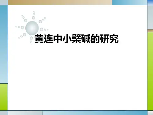 黄连中小檗碱的研究(仪器分析)