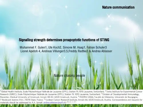 信号强度决定sting的促凋亡功能幻灯片PPT