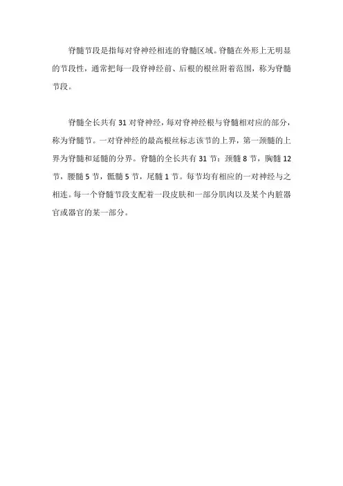 脊髓节段的概念