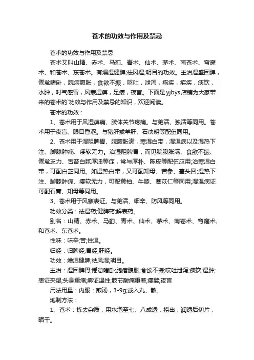 苍术的功效与作用及禁忌
