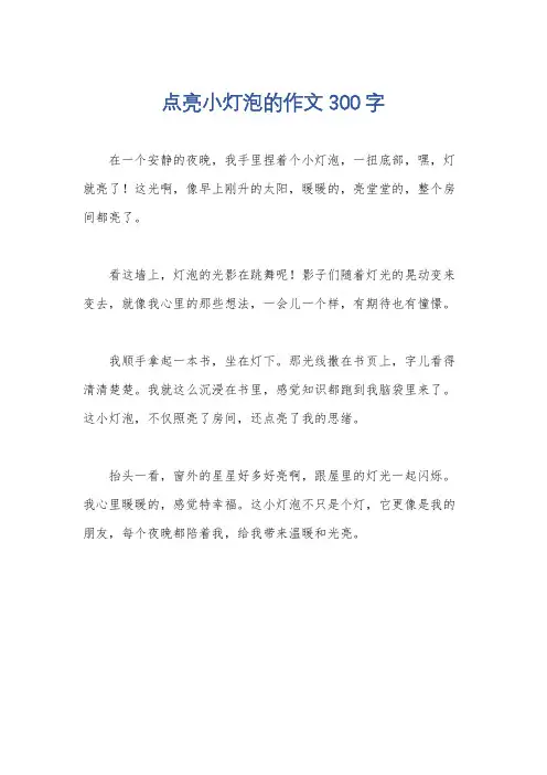 点亮小灯泡的作文300字