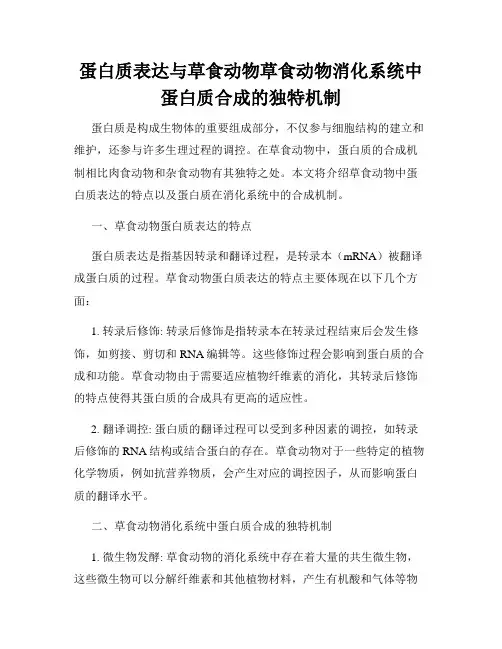蛋白质表达与草食动物草食动物消化系统中蛋白质合成的独特机制