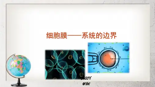 《细胞膜》高中生命科学第一册3.1【2017沪科版】2