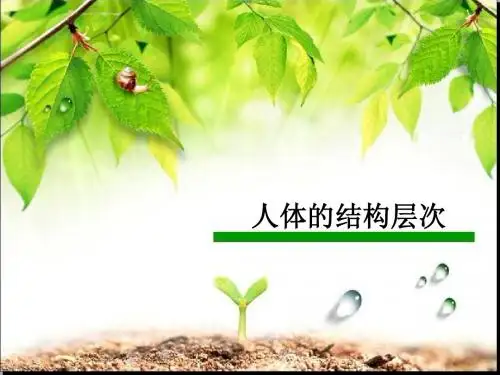 人体的结构层次上课PPT