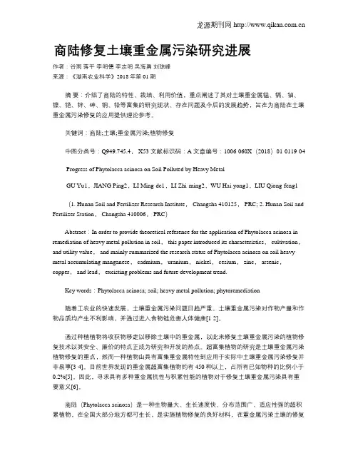 商陆修复土壤重金属污染研究进展