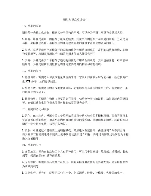 糖类知识点总结初中