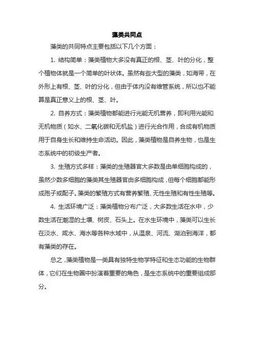 藻类共同点
