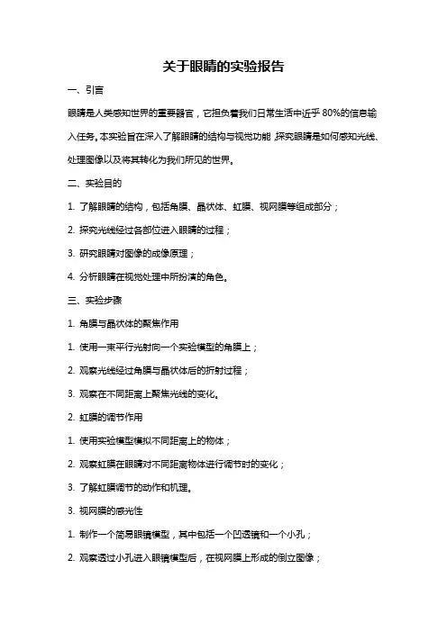 关于眼睛的实验报告