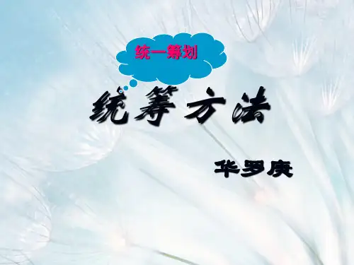 《统筹方法》