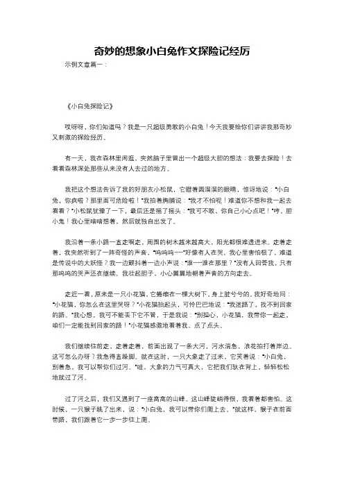 奇妙的想象小白兔作文探险记经厉