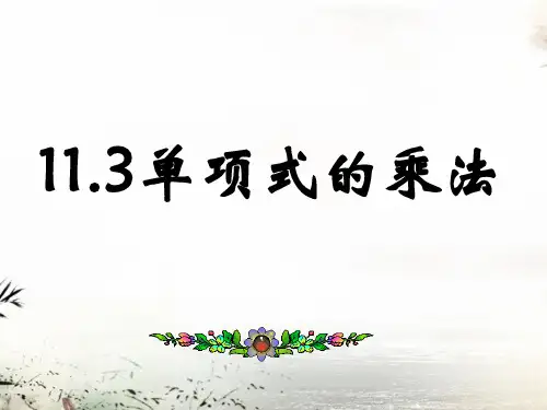11.3单项式的乘法