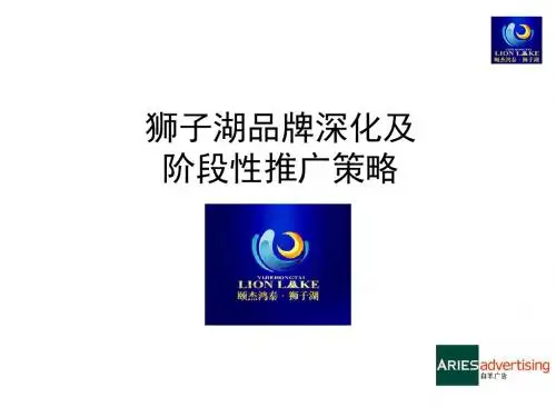 品牌管理-某品牌深化及阶段性推广策略教材(PPT37页)