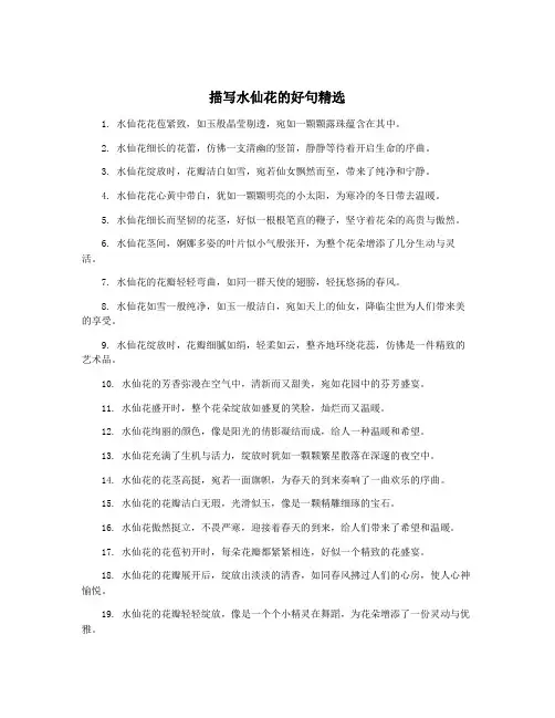描写水仙花的好句精选
