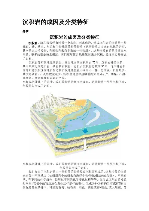 沉积岩的成因及分类特征