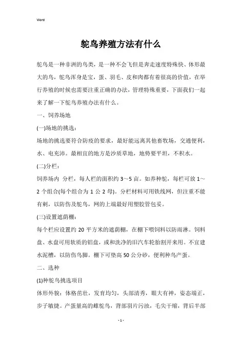 鸵鸟养殖方法有什么