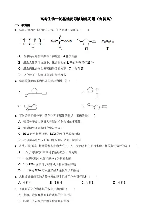 高考生物一轮基础复习核酸练习题(含答案)
