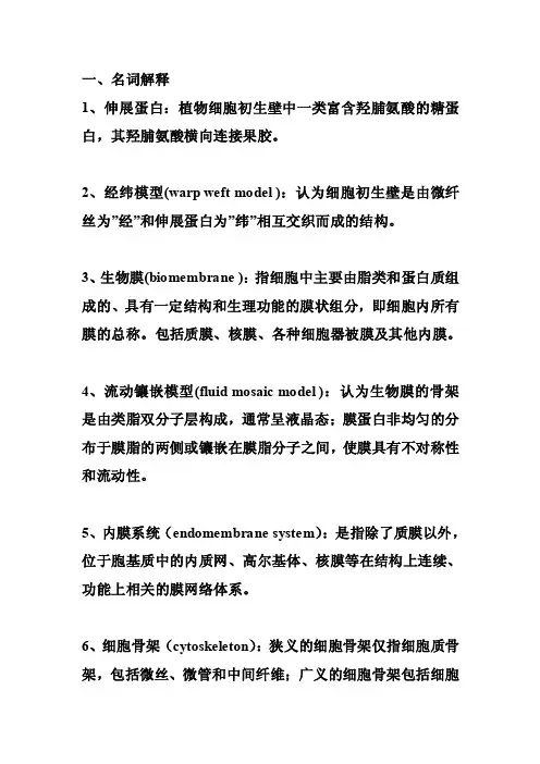 名词解释——精选推荐