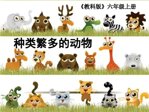 教科版小学科学六上--种类繁多的动物精品PPT课件