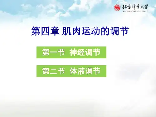 运动生理学课件