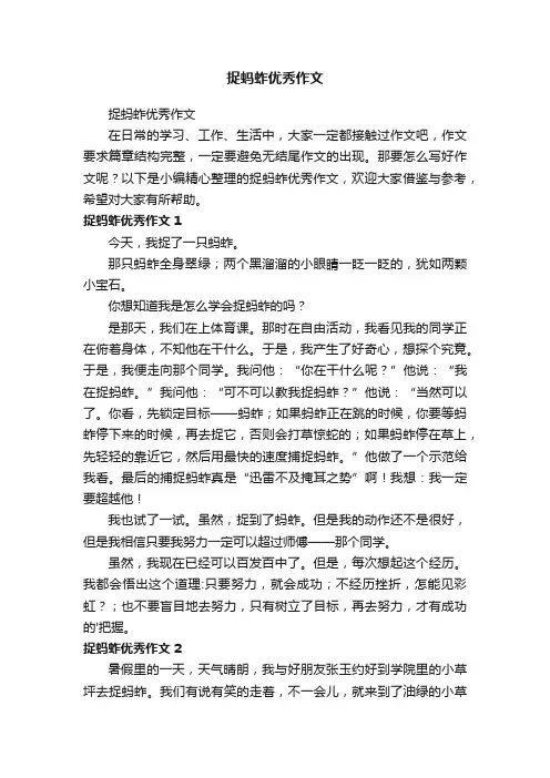 捉蚂蚱优秀作文