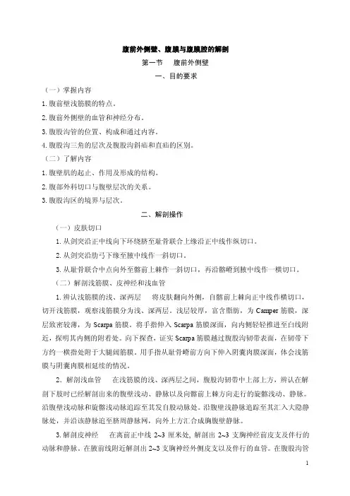 腹膜与腹膜腔的解剖
